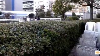 刚刚更新成人视频.https荔枝影视男人影院在线a 日本一区二区在线看_国产在线精品观看一区欧美国产精品不卡在线观看_国产亚洲一区二区手机在线观看